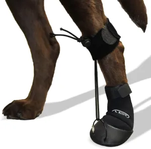 WALKABOUT™ Toe'sUP No Knuckling Boot Brace for Dogs Dragging Paws | Corrective Dog Shoes to Safely Lift Toes