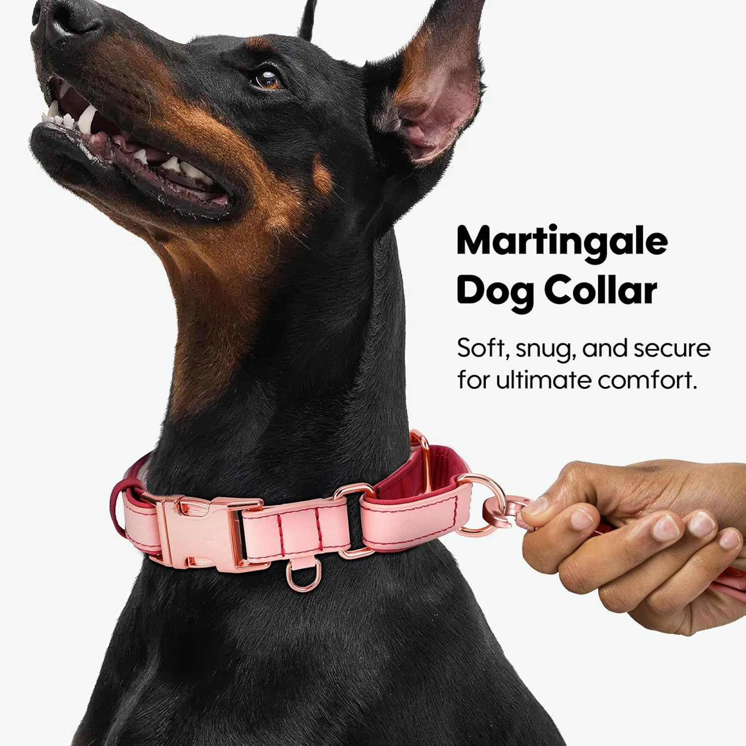 WHIPPY Vegan Leather Dog Collar No Slip Martingale Dog Collar with Quick Release Metal Buckle